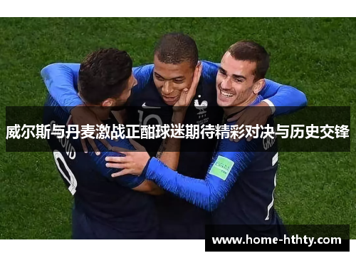 威尔斯与丹麦激战正酣球迷期待精彩对决与历史交锋